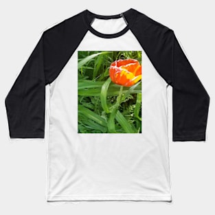 Poppy Blooming Baseball T-Shirt